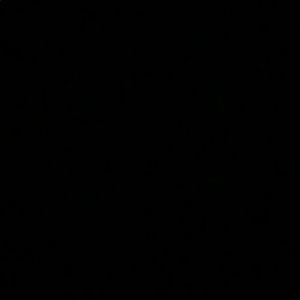 Meet your Posher, Chanel